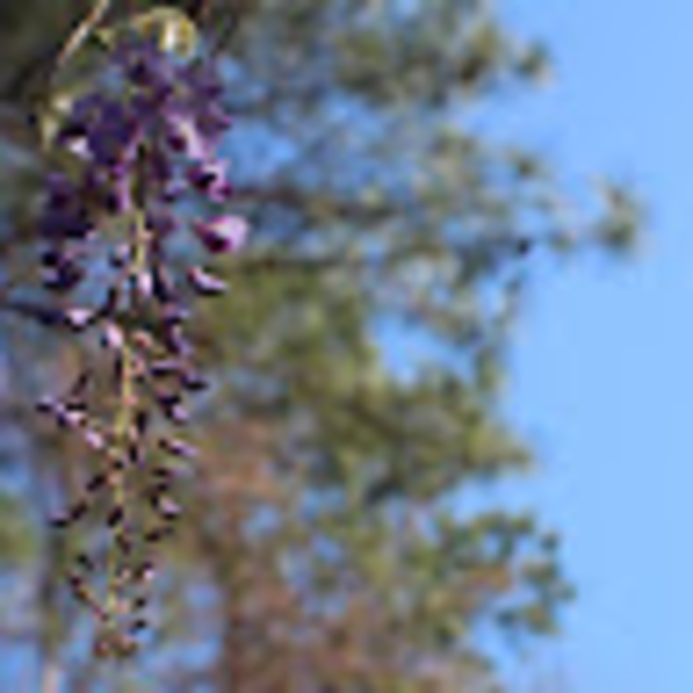 Meet your Posher, Carlos